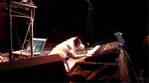 Heart of a Dog: Lola Concert