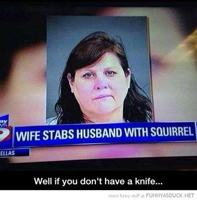 Name:  Wife Stabs Husband with Squirrel.jpg
Views: 345
Size:  26.3 KB