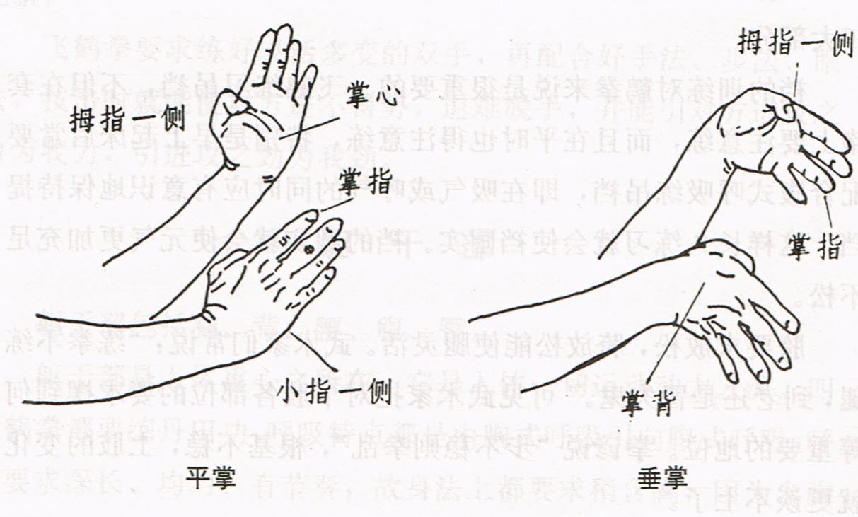 Name:  Hand Positions.jpg
Views: 2047
Size:  85.2 KB