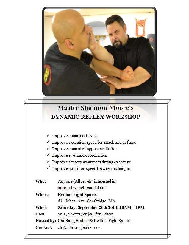 Name:  WC Dynamic Reflex Workshop Poster.jpg
Views: 660
Size:  55.1 KB