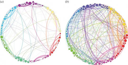 Name:  shrooms-brain-networks (1).jpg
Views: 313
Size:  38.8 KB