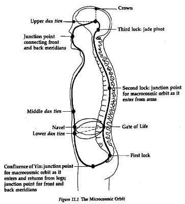 Name:  microcosmic-orbit.jpg
Views: 315
Size:  47.9 KB