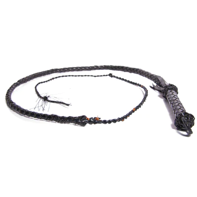 25% OFF Leather Whip